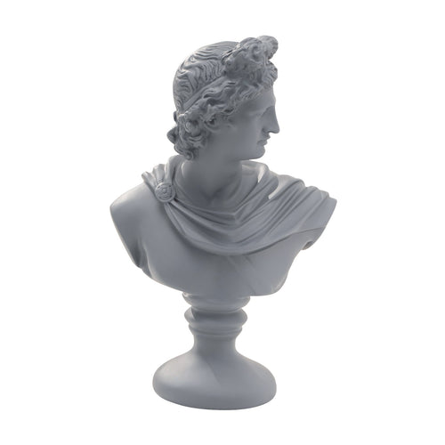 Apollo Bust