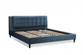 Queen Platform Bed (Teal)