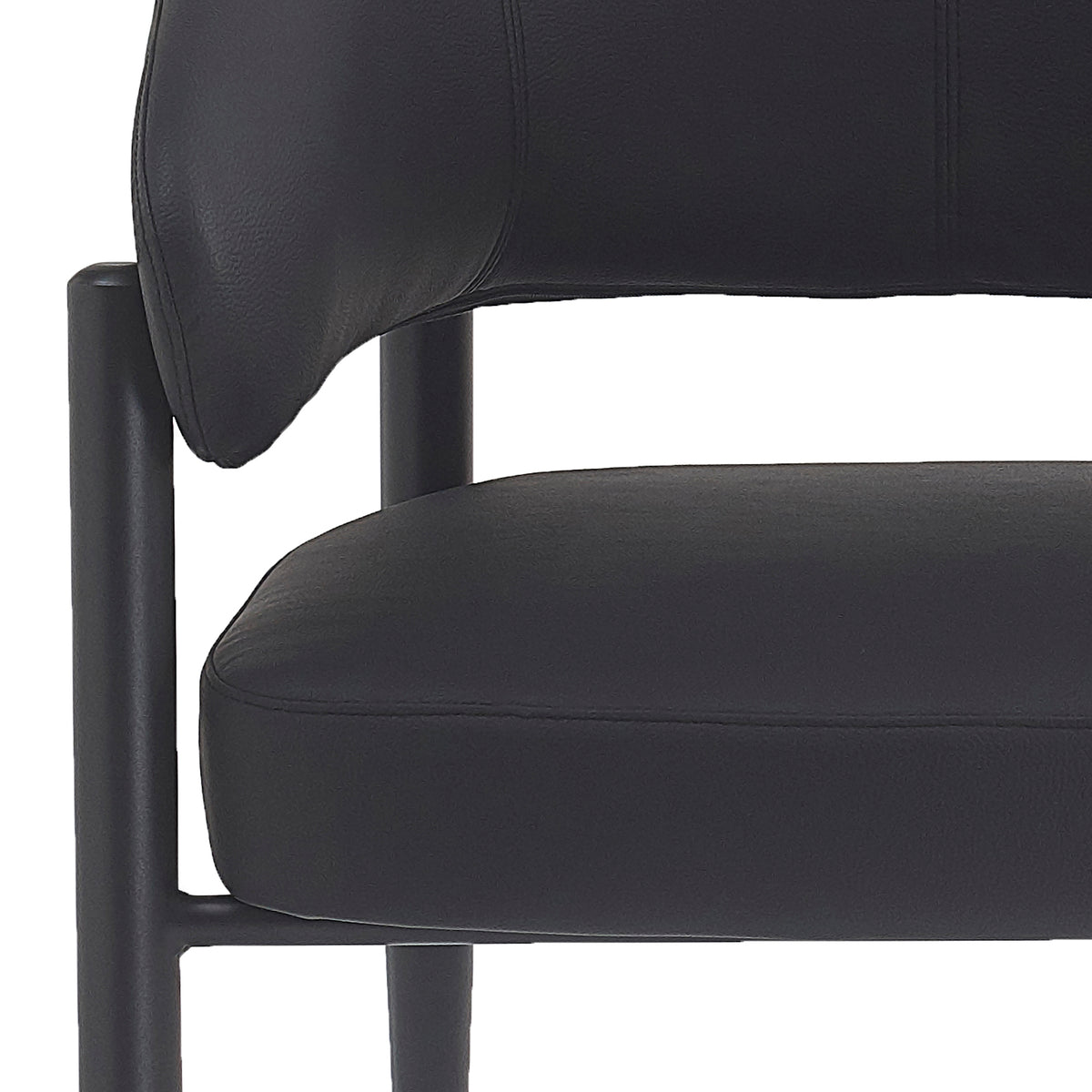 Bronson Dining/Lounge Chair (Black and Black) (Set of 2)