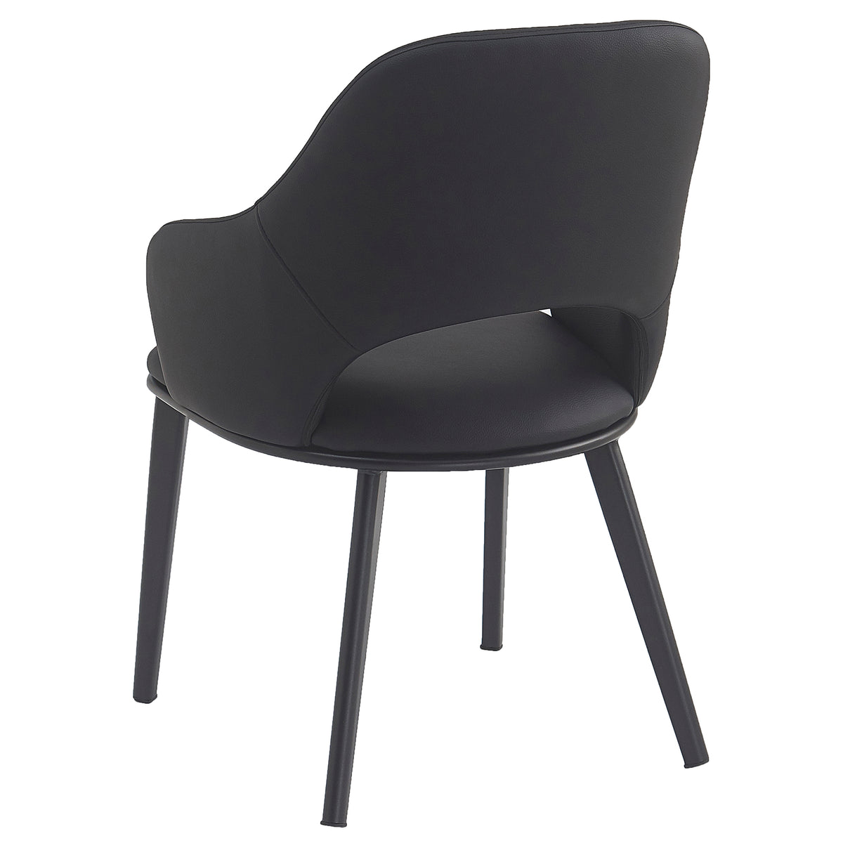 Denzel Dining/Lounge Chair (Black and Black) (Set of 4)