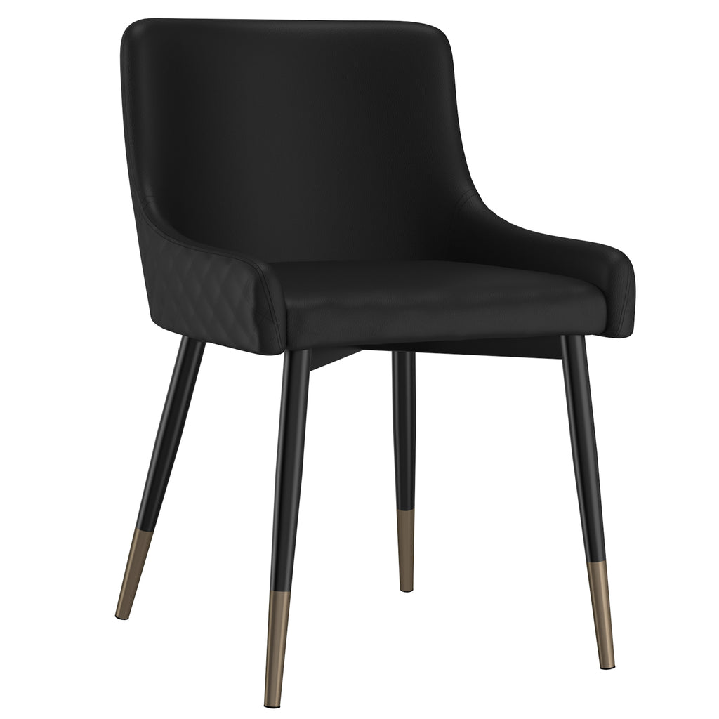 Xander Dining/Lounge Chair (Black and Black) (Set of 2)