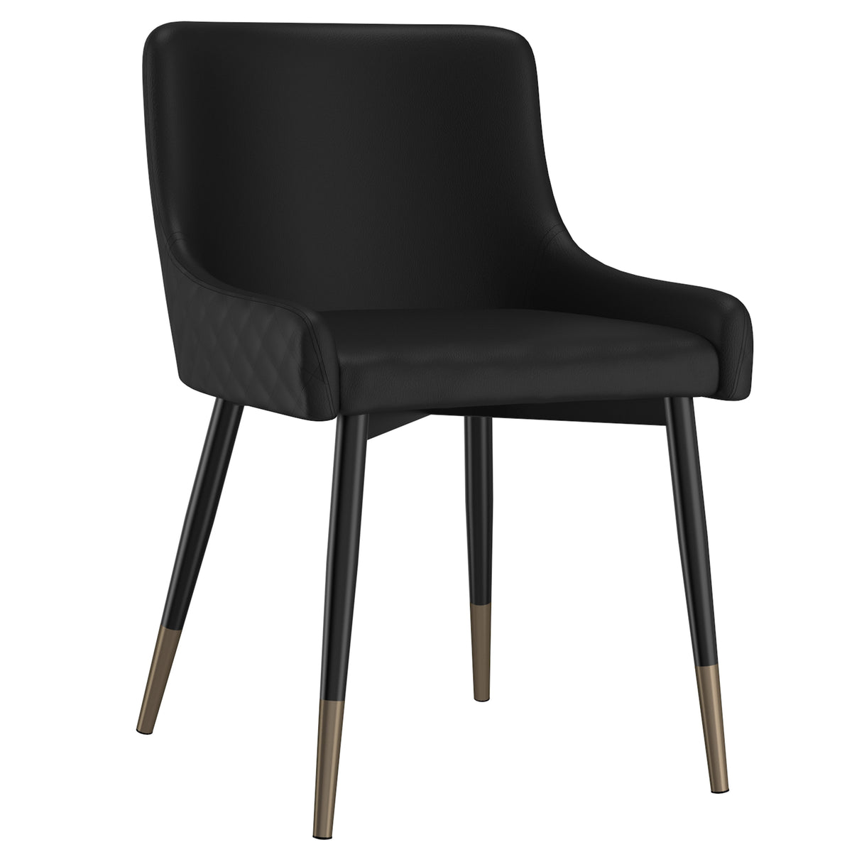Xander Dining/Lounge Chair (Black and Black) (Set of 2)
