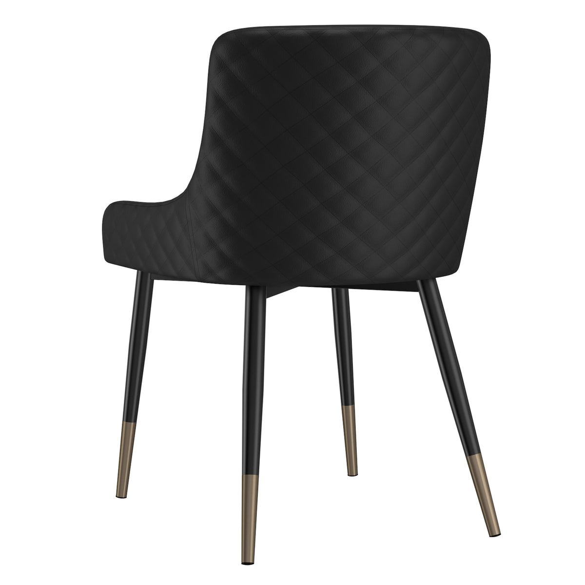 Xander Dining/Lounge Chair (Black and Black) (Set of 2)
