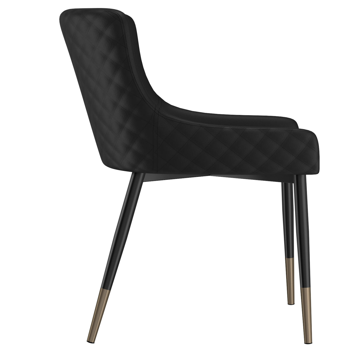 Xander Dining/Lounge Chair (Black and Black) (Set of 2)