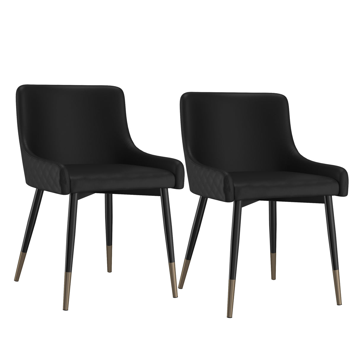 Xander Dining/Lounge Chair (Black and Black) (Set of 2)