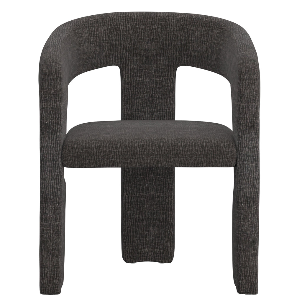 Amara Dining/Lounge Chair (Charcoal) (Set of 2)