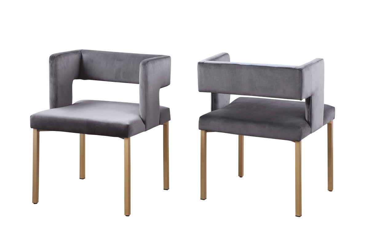 Dining Chair (Grey) (Set of 2)