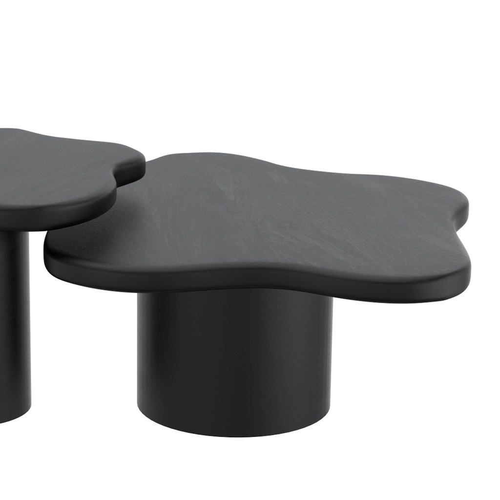 Mayal Large Coffee Table (Black)
