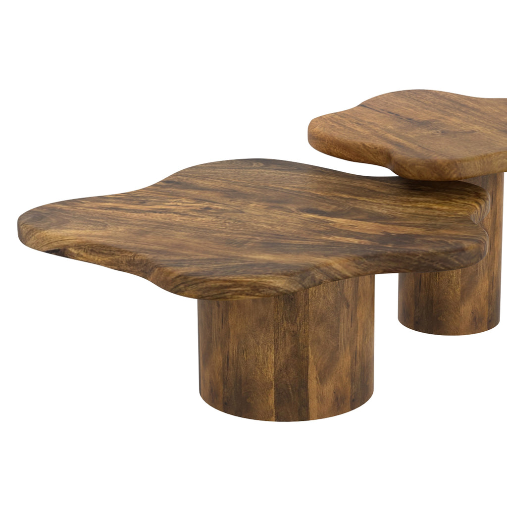 Mayal Large Coffee Table (Walnut)