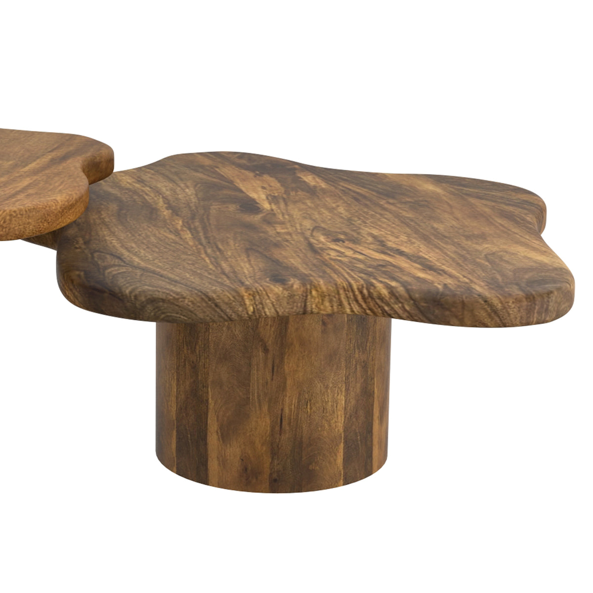 Mayal Large Coffee Table (Walnut)