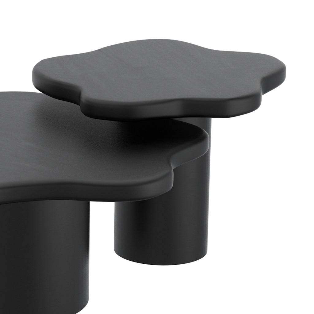 Mayal Small Coffee Table (Black)