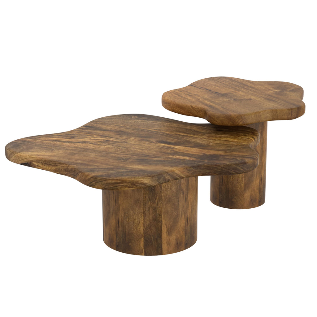 Mayal 2pc Coffee Table Set (Walnut)