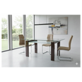 Nano & Victory Contemporary Dining Set