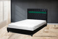 Otis Bed Black (Queen)
