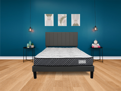 Alora Hard Foam mattress