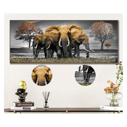 Elephant Safari