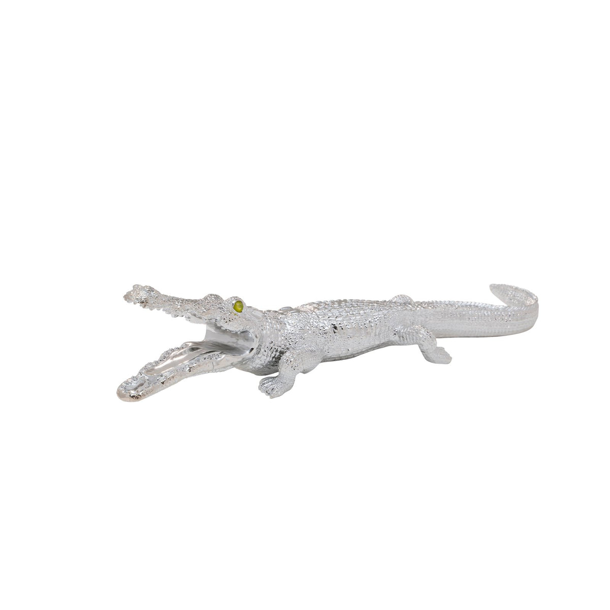 Alligator