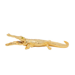 Alligator