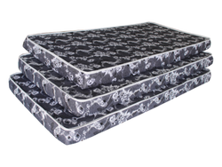 5″ Foam Mattress
