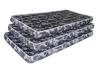 Sleep In Regular Foam Mattress (5″)