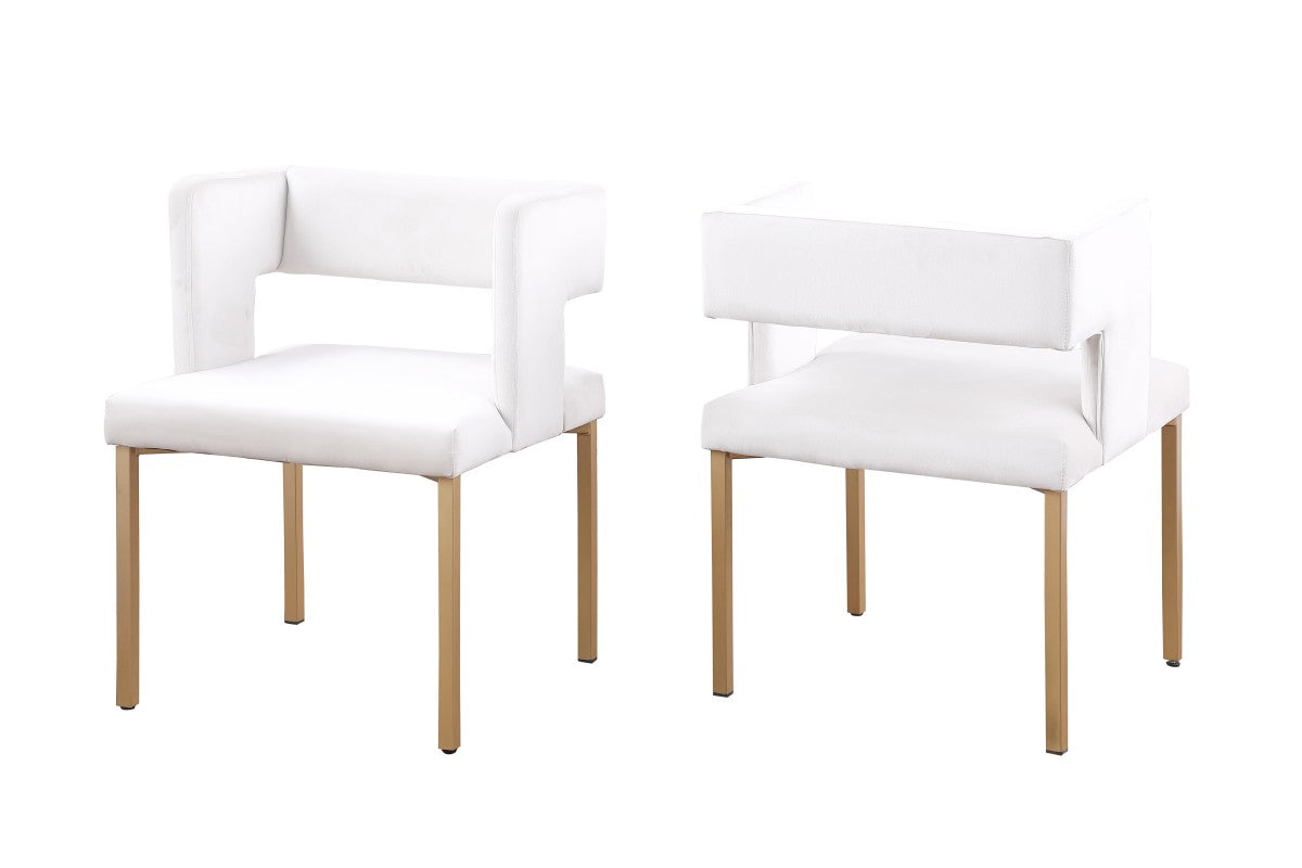 Dining Chair (Beige) (Set of 2)