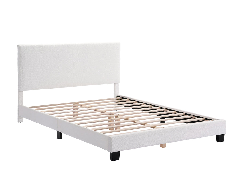 IF 5582 Bed
