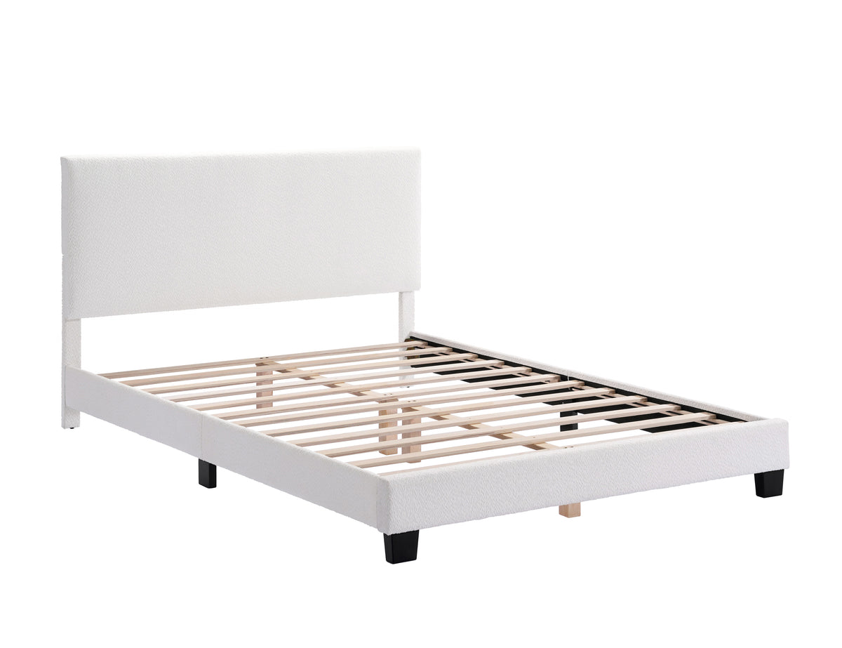 IF 5582 Bed