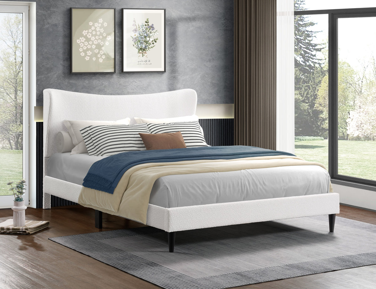 IF 5585 Bed