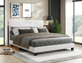 IF 5582 Bed