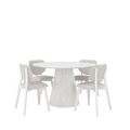 5-Piece Dinng Set (White Wash)