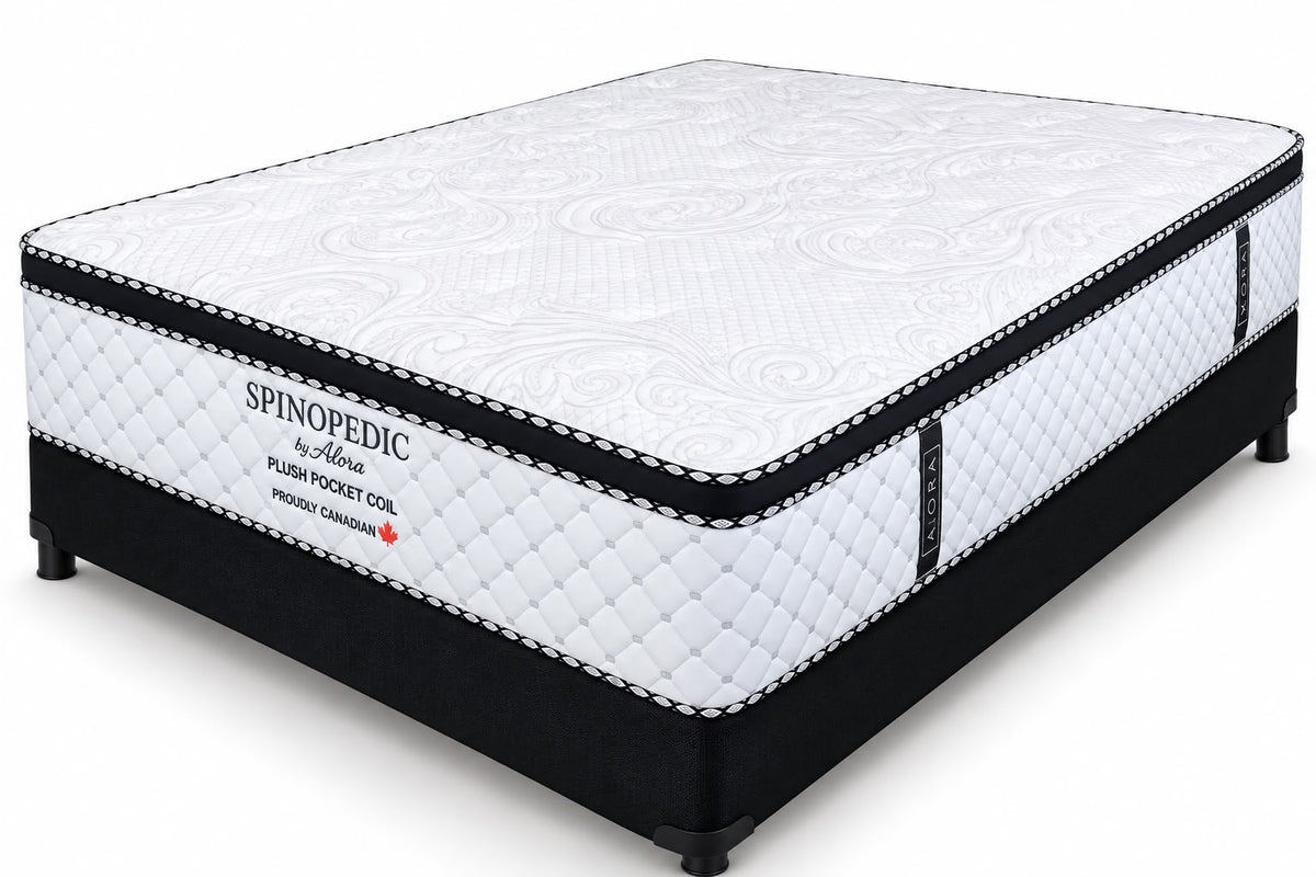 Spinopedic Plush Pocket Coil Mattress by Alora on a black base