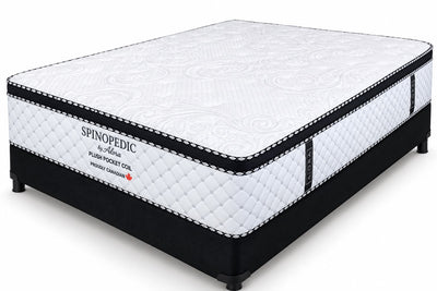 Spinopedic Pocket Coil Mattress