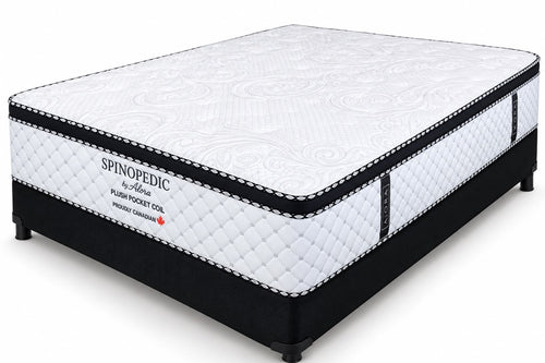 Spinopedic Pocket Coil Mattress